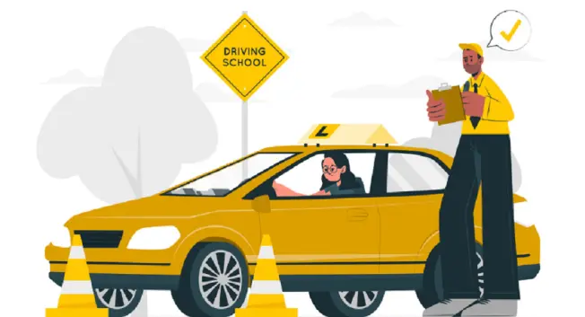 Experienced Instructors
